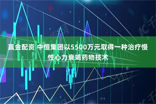 赢金配资 中恒集团以5500万元取得一种治疗慢性心力衰竭药物技术